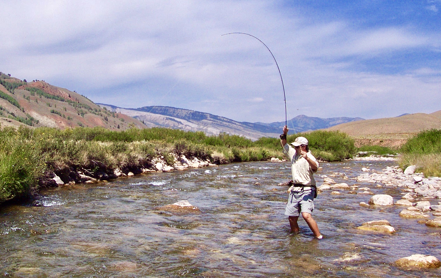 Dr. Pafford catching cutthroat trout in Wyoming